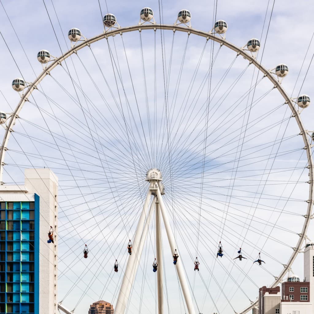 Fly LINQ Zipline (Fly LINQ Zipline - Single Ride (Mondays to Thursdays))