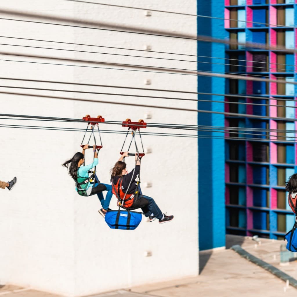 Fly LINQ Zipline (Fly LINQ Zipline - Single Ride (Fridays to Sundays))
