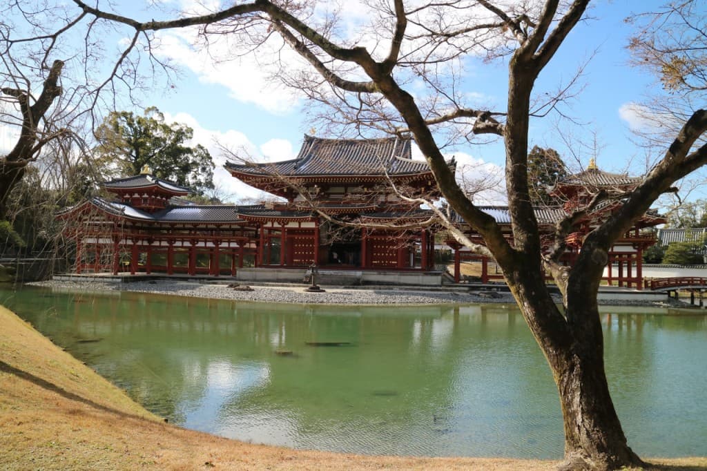 Uji Walking Tour and Tea Ceremony Experience from Kyoto