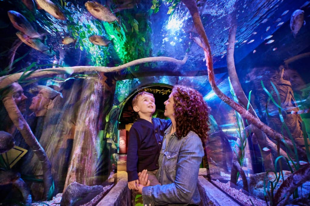 SEA LIFE New Jersey Aquarium Ticket (SEA LIFE New Jersey - Admission)
