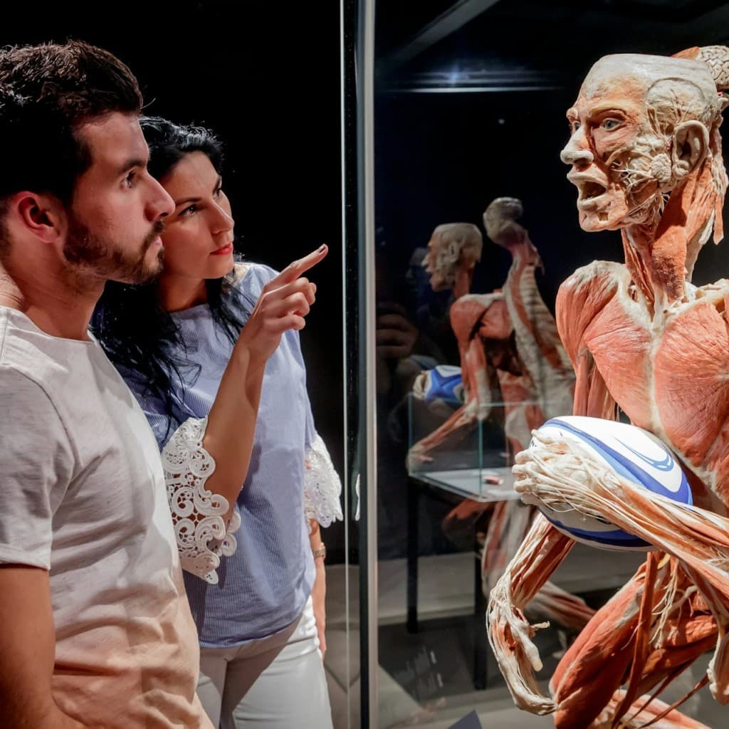 BODY WORLDS Berlin - The First Museum of BODY WORLDS