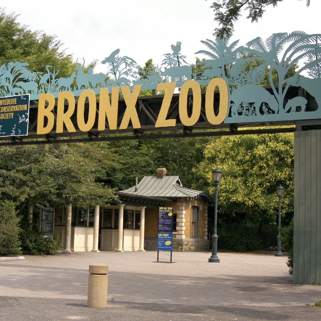 Bronx Zoo: Entry Ticket