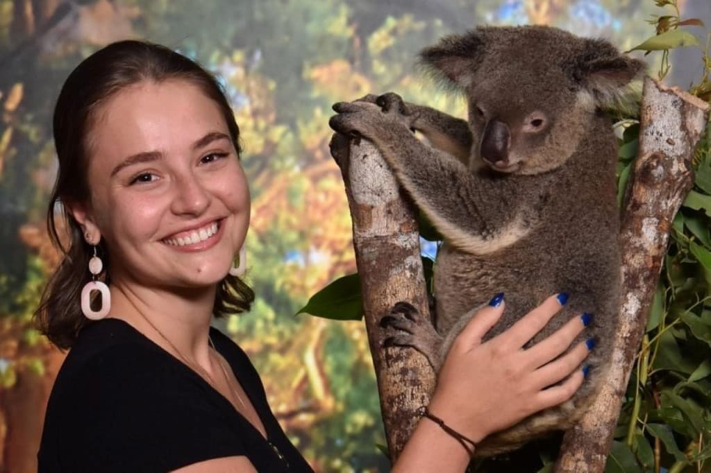 Cairns Koalas and Creatures at the Pier Ticket (Admission + Standard Koala Photo)