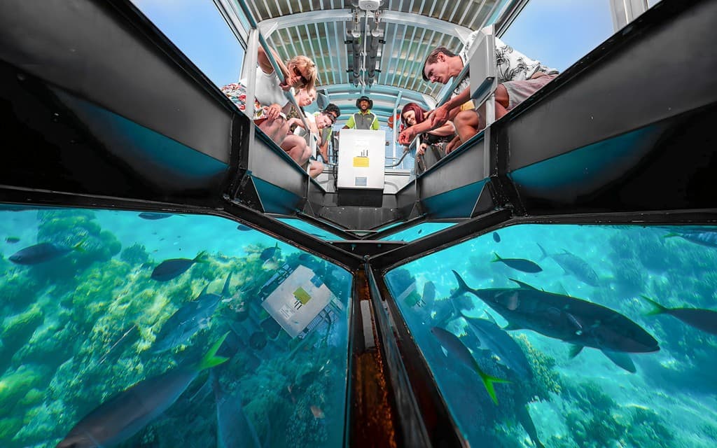Cairns to Green Island Full/Half-Day Cruise with Glass Bottom Boat Tour (Half Day Cruise with Glass Bottom Boat Tour)