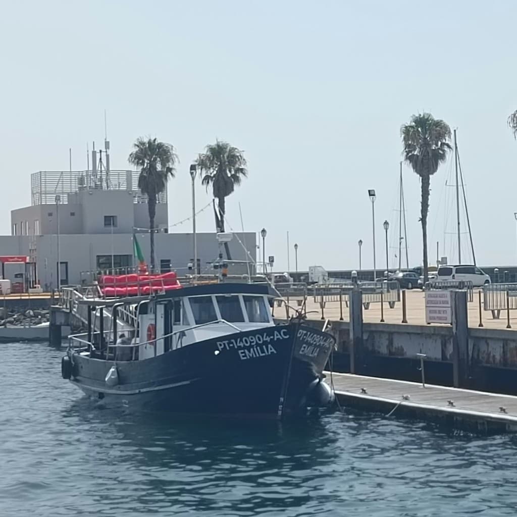 Cascais: Guided Coastal Cruise + Drinks