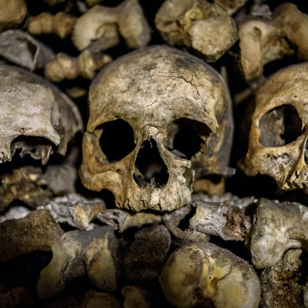 Catacombs of Paris: Guided Tour in English