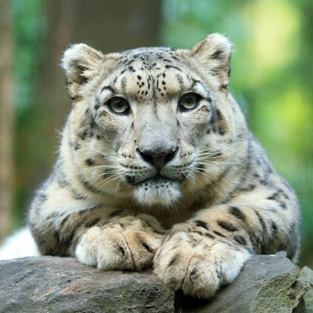 Central Park Zoo (Central Park Zoo - Admission)