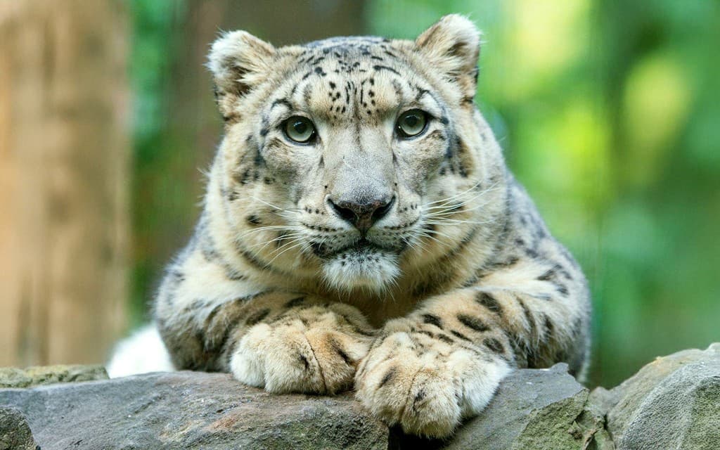 Central Park Zoo Tickets (General Admission)