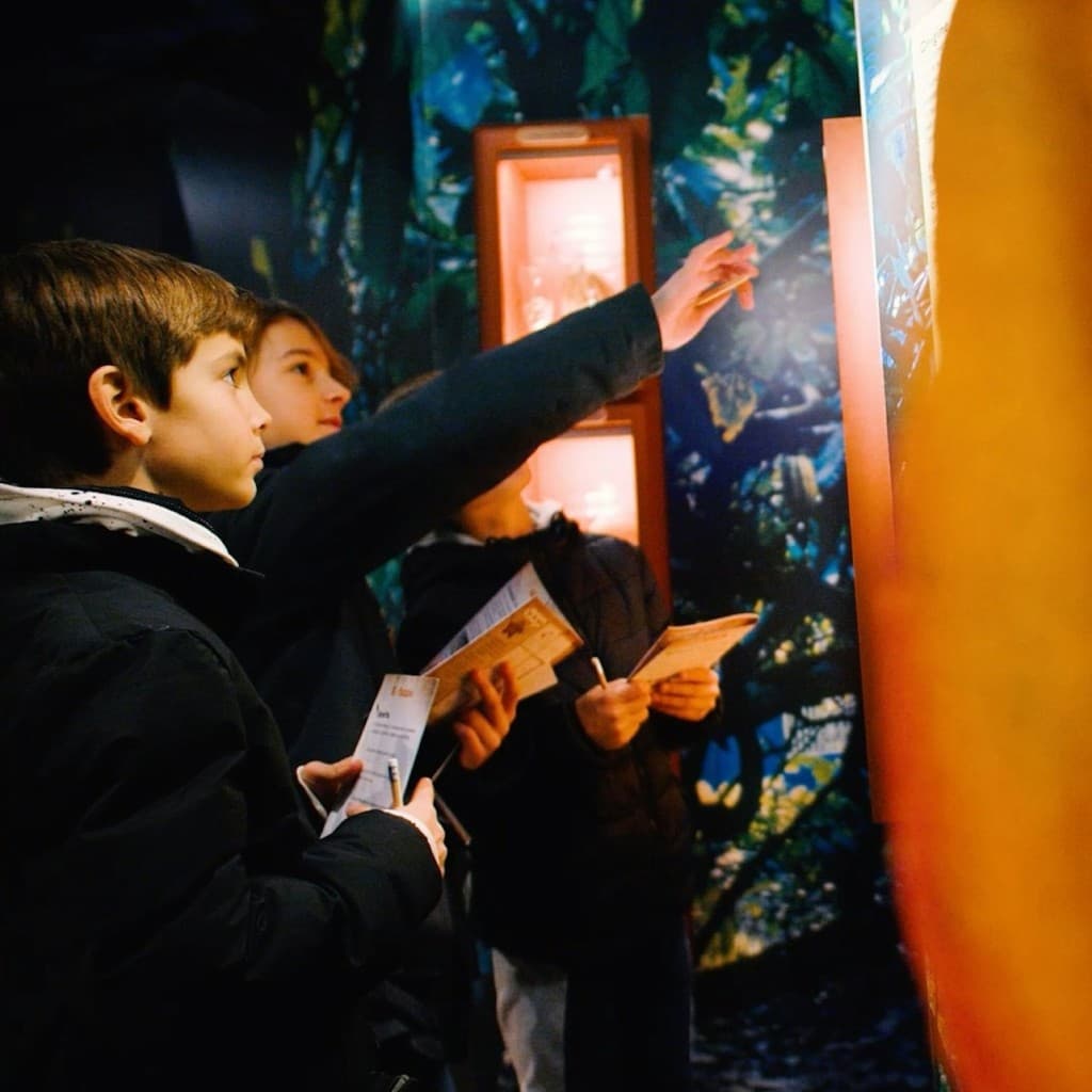 Chocolate Museum – Choco-Story Paris - Entrance Only