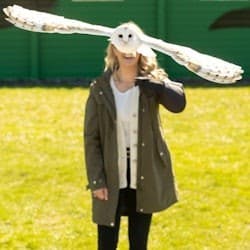 Cliffs of Moher & Aillwee Cave: Day Tour from Dublin + Bird of Prey Experience