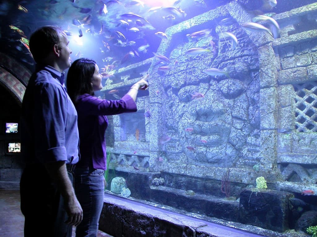 Downtown Aquarium Houston Ticket (All Day Adventure Pass)