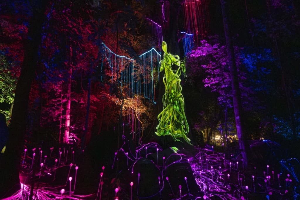 Dream Forest Langkawi (Admission (Malaysian Citizens))
