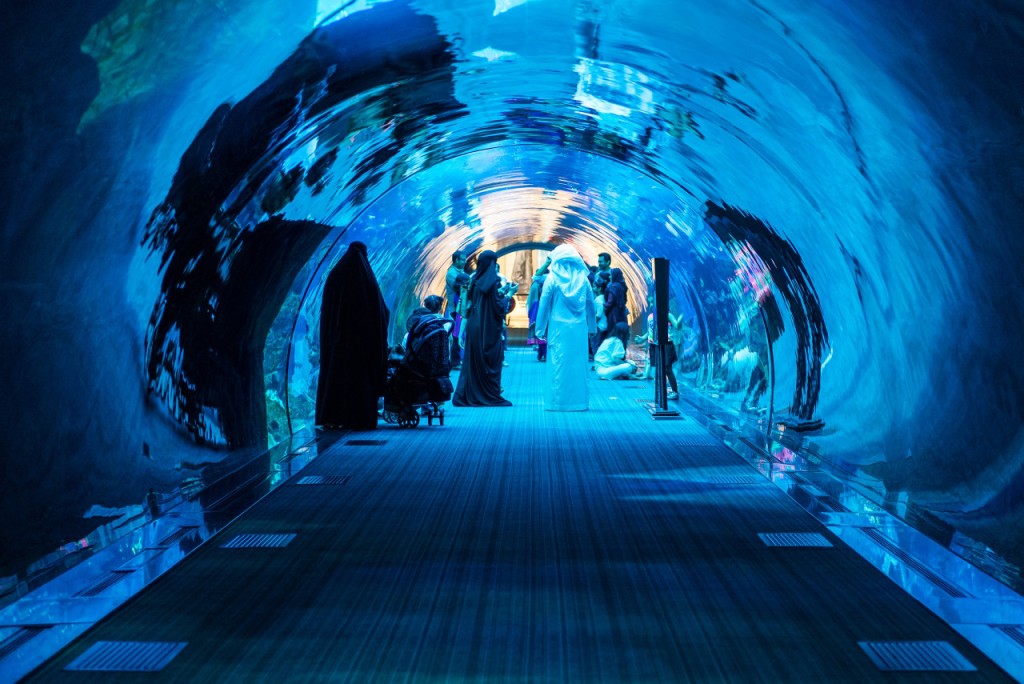 Dubai Aquarium and Underwater Zoo Ticket (Dubai Aquarium and Underwater Zoo - Silver Ticket)