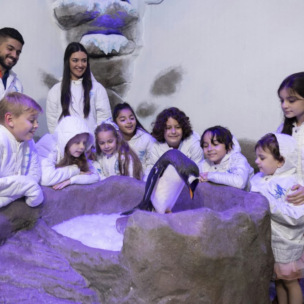 Dubai Aquarium & Underwater Zoo: Entry Ticket + Penguin Encounter