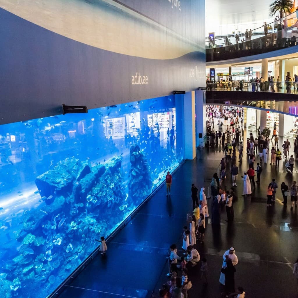 Dubai Aquarium & Underwater Zoo: Platinum Pass