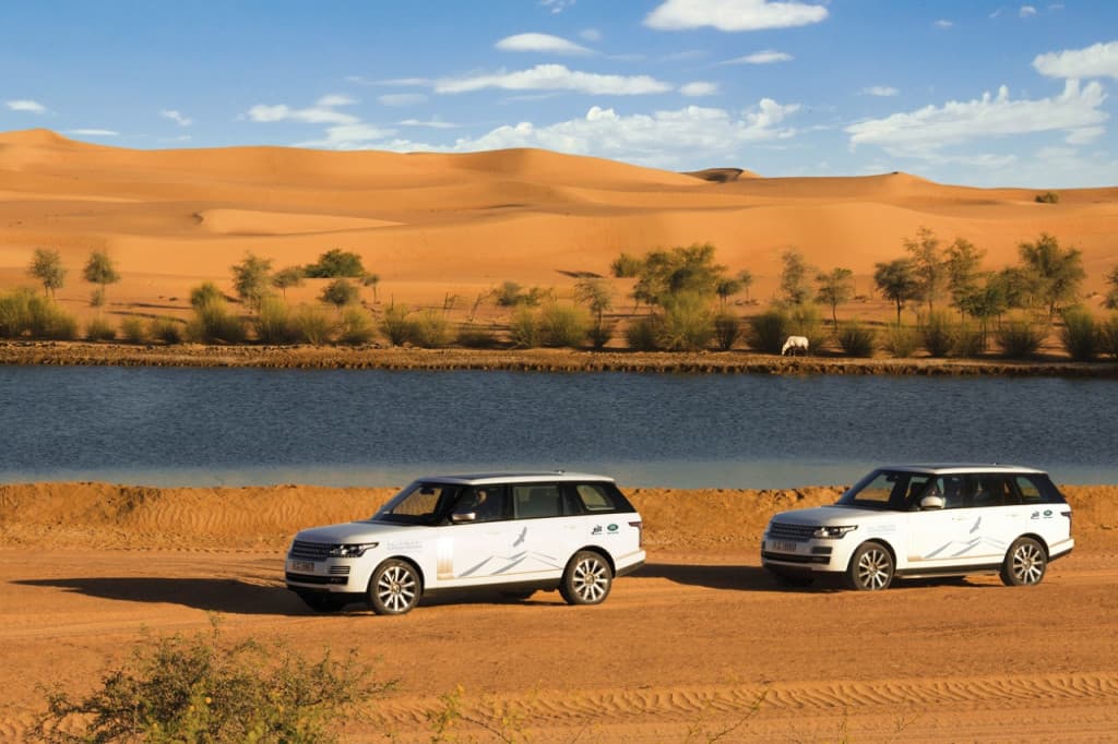 Dubai Desert Conservation Reserve Tour (Dubai Desert Conservation Reserve Tour with Breakfast at Al Maha Resort and Spa)