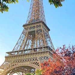 Eiffel Tower 2nd Floor & Summit Option + Seine River Cruise