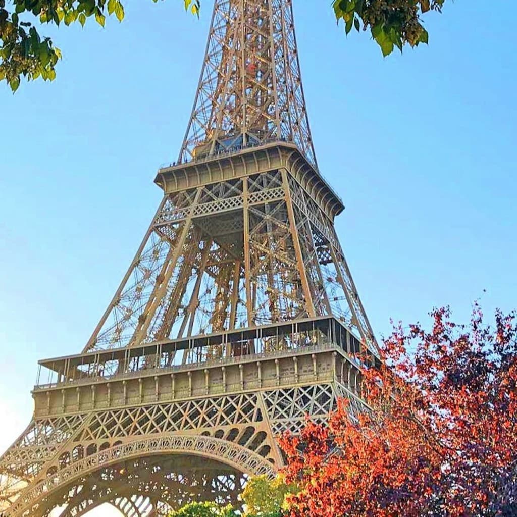Eiffel Tower 2nd Floor & Summit Option + Seine River Cruise