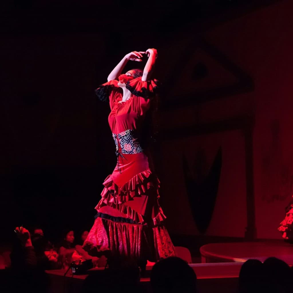 El Palacio Andaluz Seville: Solo Flamenco