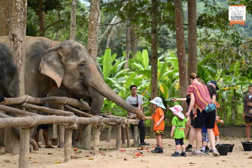 Elephant Jungle Sanctuary Koh Samui (Elephant Jungle Sanctuary Koh Samui - Afternoon Visit)