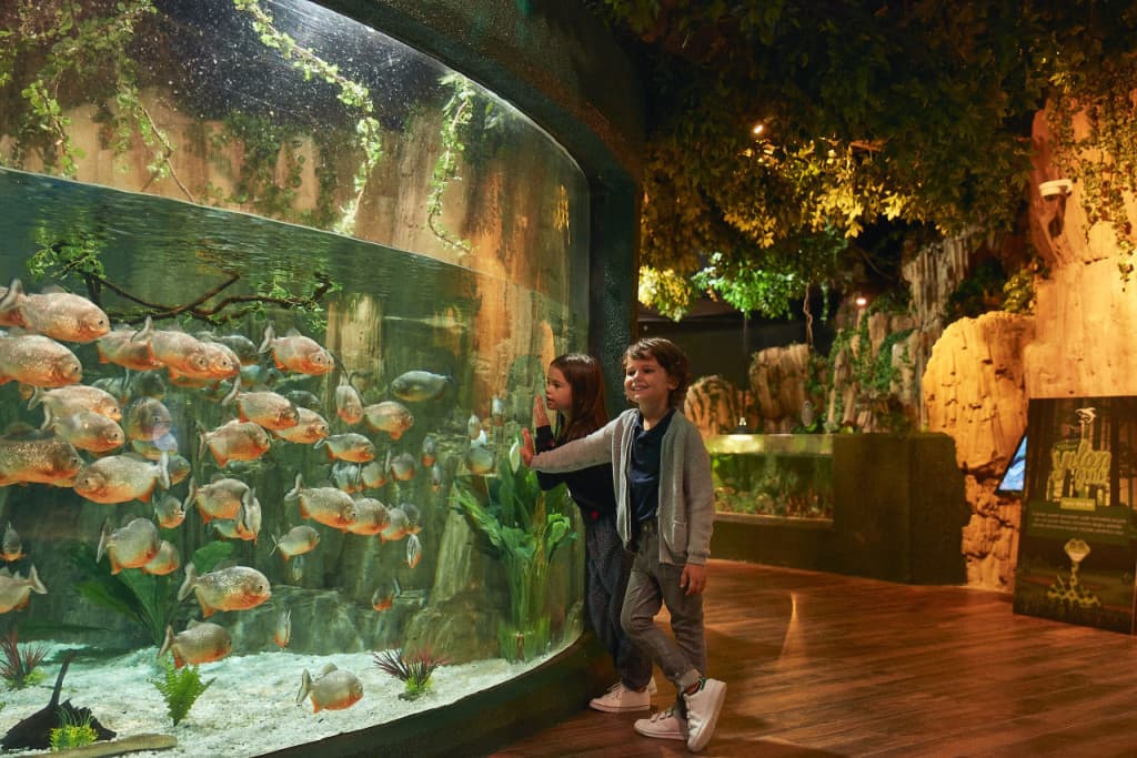 Emaar Aquarium and Underwater Zoo Ticket (Emaar Aquarium and Underwater Zoo - Admission)