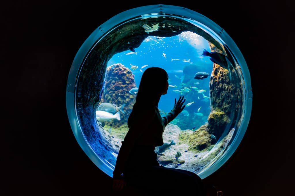Enoshima Aquarium (Enoshima Aquarium - Admission)