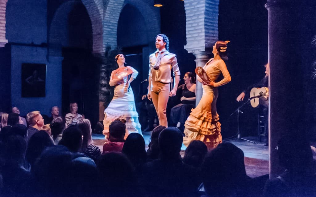 Flamenco Dance Museum - Flamenco Show (Flamenco Show)
