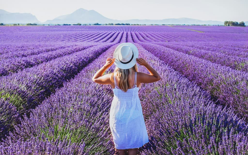From Aix-En-Provence: Lavender Fields Full-Day Guided Tour (Tour of Sault)