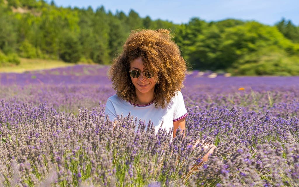From Avignon: Lavender Fields Tour (Half-Day Morning Tour)