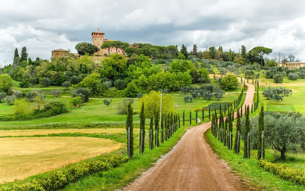 From Florence: Chianti Wine Tasting Tour (English Guided Tour)