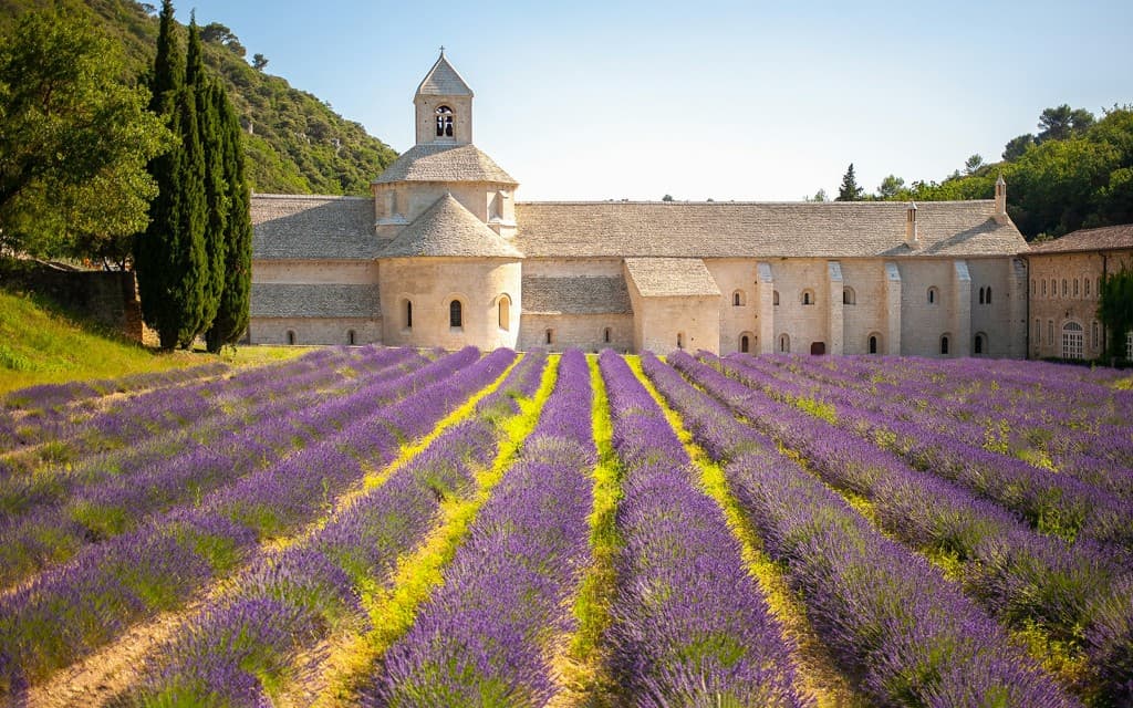 From Marseille: Lavender Fields Tour (Lavender Sault Full Day Tour)