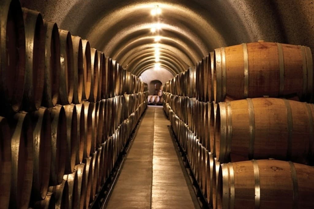 From San Francisco: Full Day Napa Valley Wine Tasting Tour (Full Day Napa Valley Wine Tasting Tour)