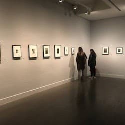 Fundación MAPFRE Madrid – Sala Recoletos: Entry Ticket