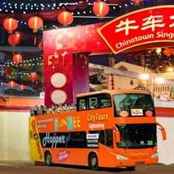 FunVee Singapore: Chinatown Light Up Night Tour