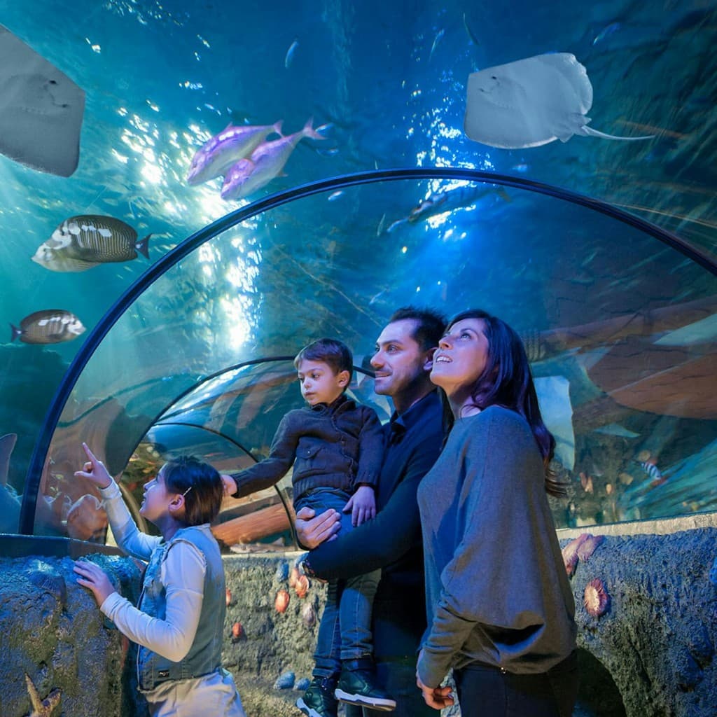 Gardaland SEA LIFE Aquarium: Entry Ticket