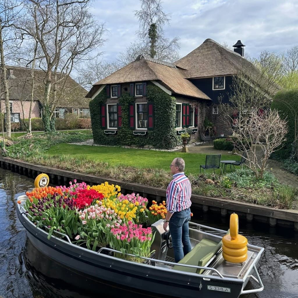 Giethoorn & Windmill: Guided Day Tour from Amsterdam