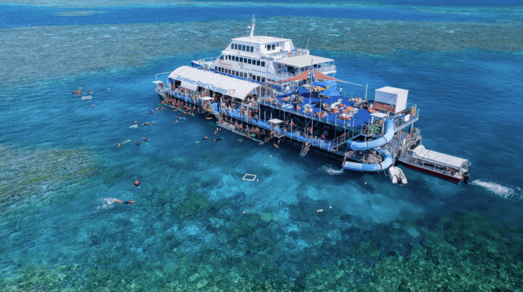 Great Barrier Reef Pontoon Full-Day Tour at Moore Reef (Full-Day Tour + Guided Snorkel Safari)
