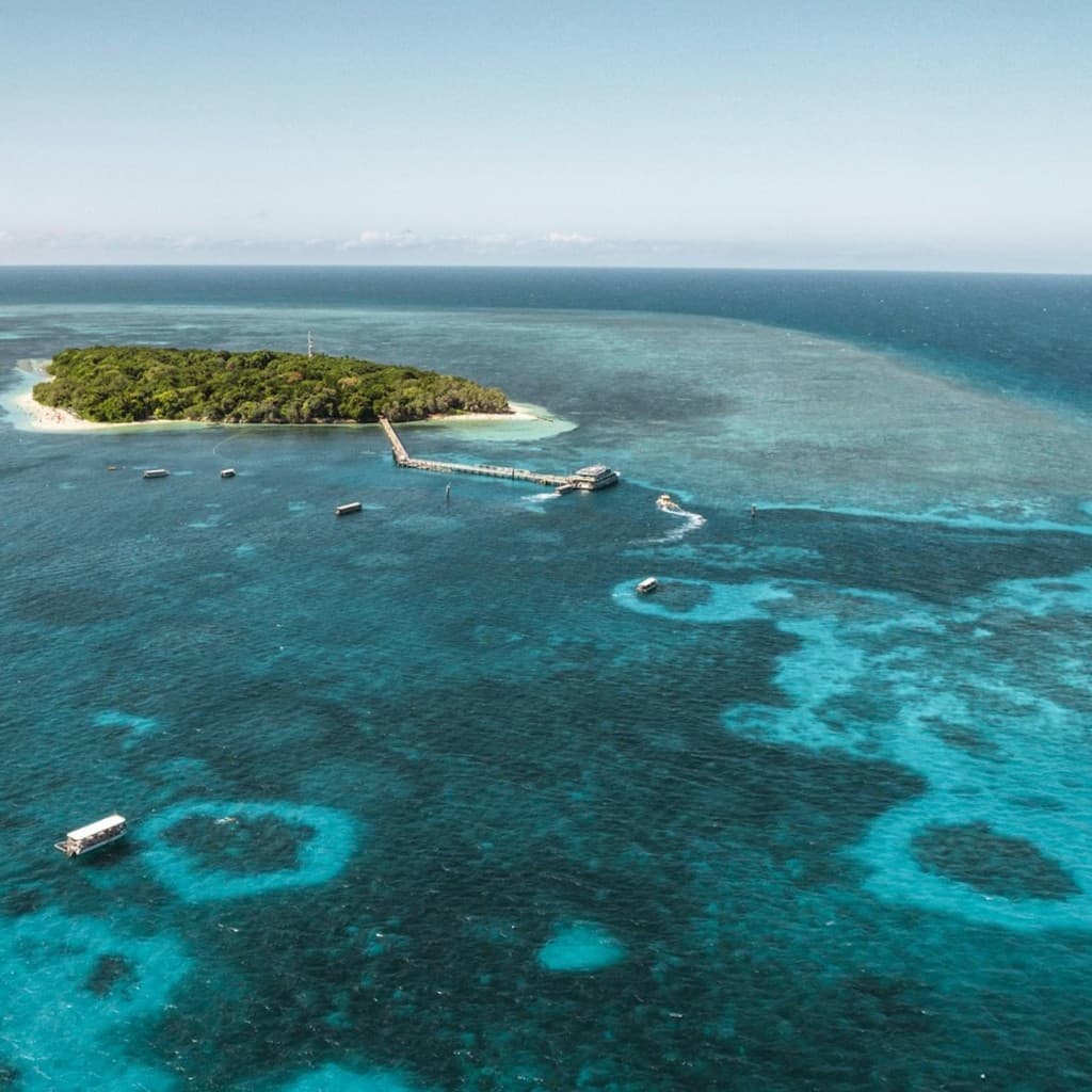 Green Island: Day Cruise from Cairns
