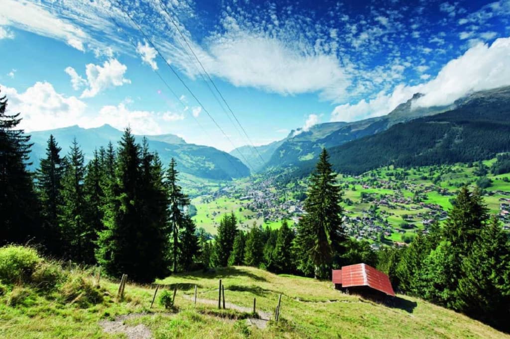 Grindelwald, Interlaken, and Lauterbrunnen Full-Day Tour (Grindelwald, Interlaken, and Lauterbrunnen Full-Day Tour from Zurich)