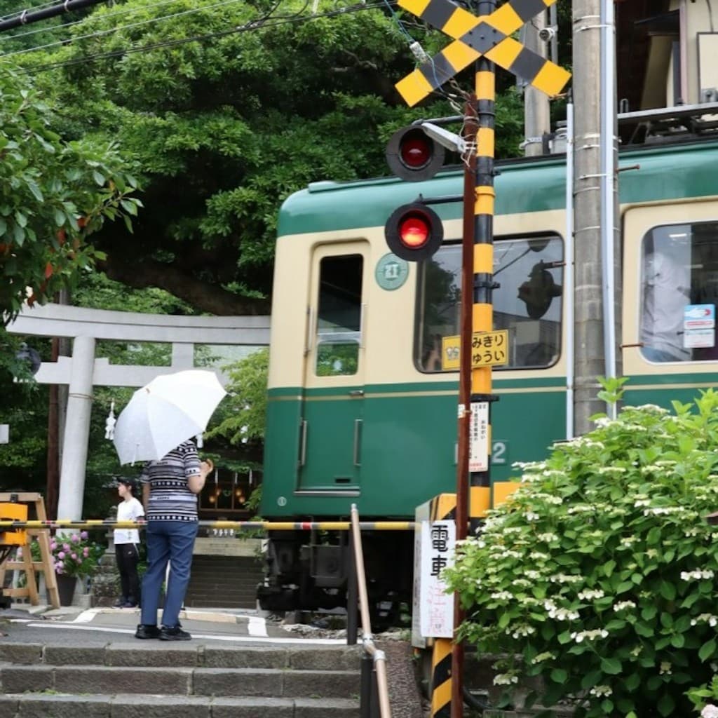 Hakone, Fuji-Hakone & Hakone-Kamakura: Transport Pass