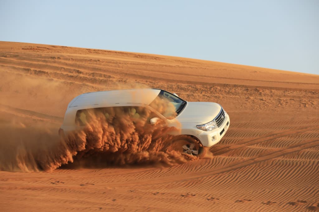 Half-Day Desert Safari, Camel Ride with Refreshments (Morning Half-Day Desert Safari, Camel Ride with Refreshments)