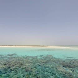 Hamata: Snorkeling + Roundtrip Transfer + Lunch