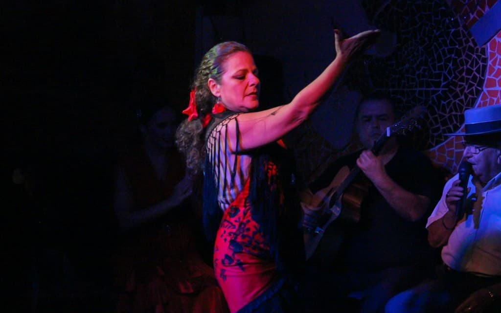 El Toro y la Luna - Flamenco Show (Show with Dinner)