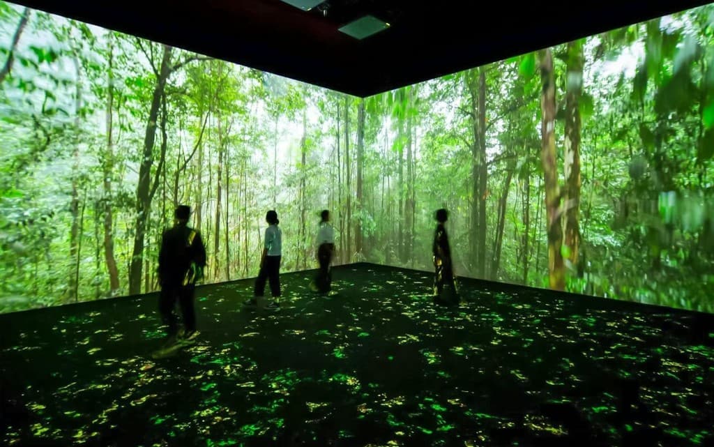 California Academy of Sciences Tickets (Nighttime Admission Tickets)