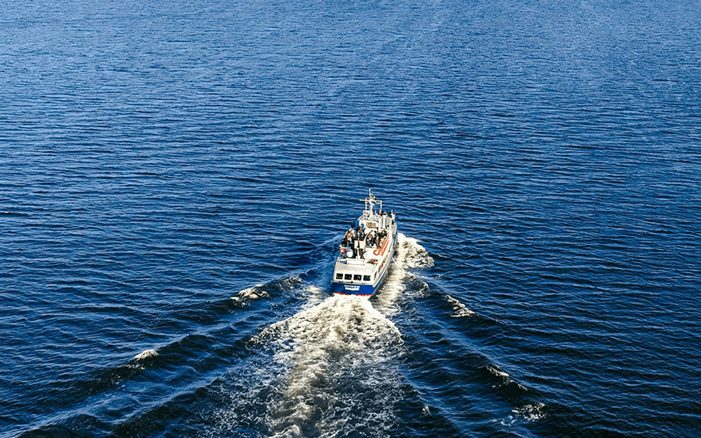 Combo: Archipelago Sightseeing Cruise + Vasa & Vrak Museum Tickets (Combo: Archipelago Sightseeing Cruise + Vasa & Vrak Museum Tickets)