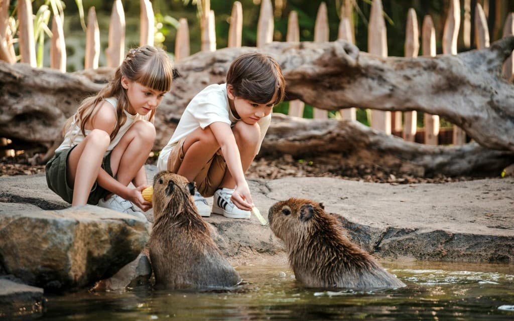 Capybara Interaction & Optional Brunch with Bali Zoo Tickets (Brunch with Capybara)