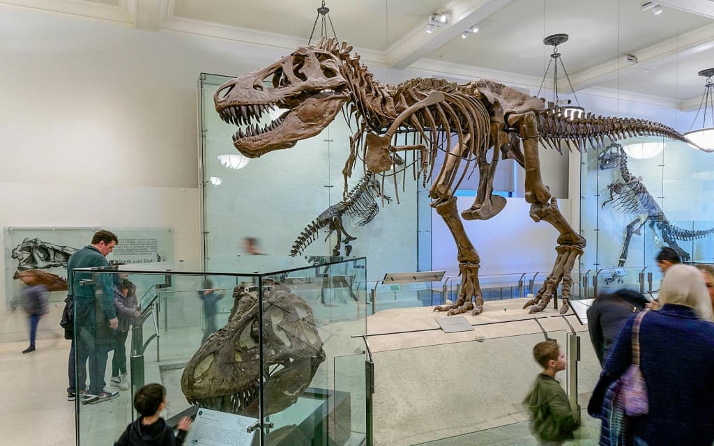 American Museum of Natural History Tickets (Dated Entry)