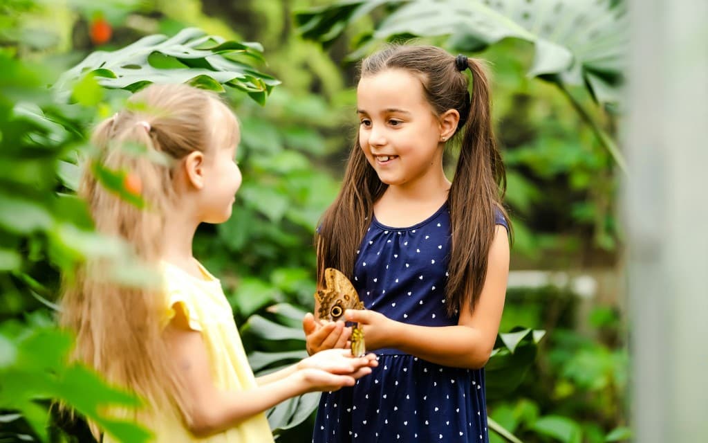 Headout Exclusive: The Butterfly Gardens Abu Dhabi Tickets (Butterfly Gardens Entry Tickets)