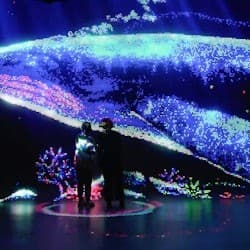 Illuminarium Las Vegas: Entry Ticket