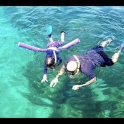 Islamorada: Snorkel Adventure & Sandbar Trip